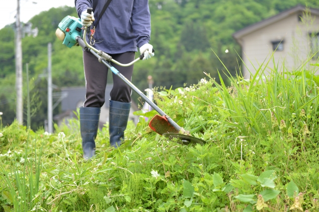 富山市で草刈りに最適な年3回の時期～楽に草刈りを終えるコツまで徹底解説
